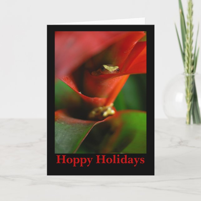Cartes Pour Fêtes Annuelles Peekaboo (Devant)