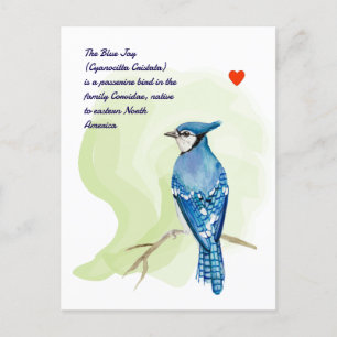 Cartes Pour Fêtes Annuelles peinture à l'aquarelle de jais bleu