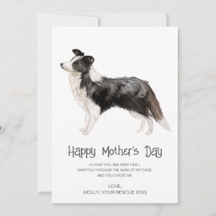 Cartes Pour Fêtes Annuelles Peinture de chien fête des mères