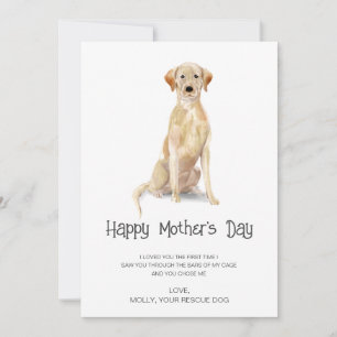 Cartes Pour Fêtes Annuelles Peinture de chien fête des mères