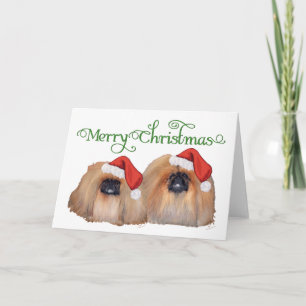 Cartes Pour Fêtes Annuelles Pékinois célèbrent Noël