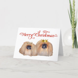 Cartes Pour Fêtes Annuelles Pékinois célèbrent Noël