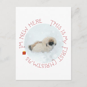 Cartes Pour Fêtes Annuelles Pékinois Noël de premier chiot