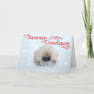 Cartes Pour Fêtes Annuelles Pékinois Noël de premier chiot