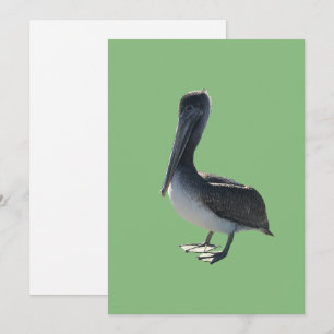Cartes Pour Fêtes Annuelles Pélican