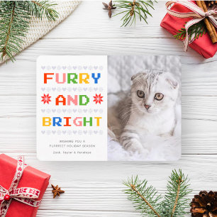 Cartes Pour Fêtes Annuelles Pelucheux et Lumineux Photo de chat de Noël