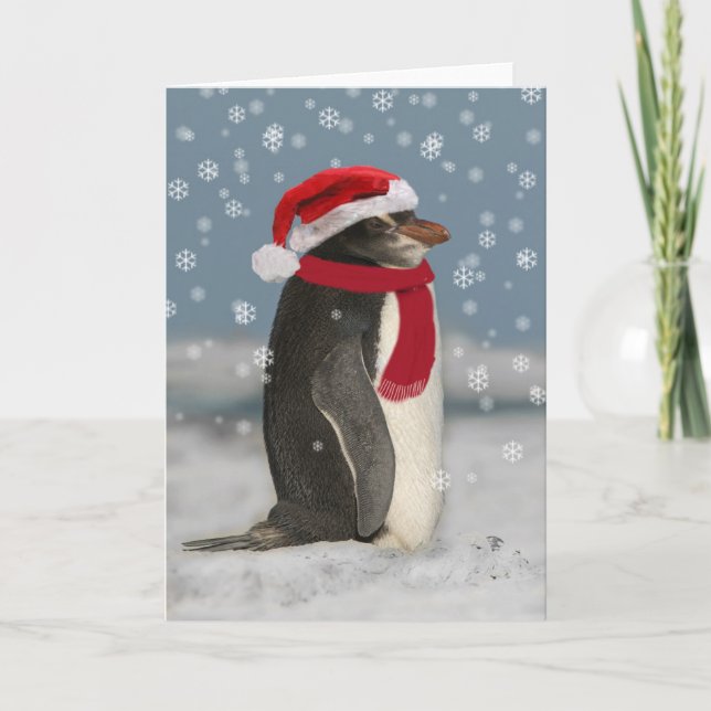 Cartes Pour Fêtes Annuelles Penguin de Christmas (Devant)