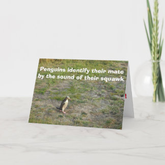 Cartes Pour Fêtes Annuelles Penguin Valentine