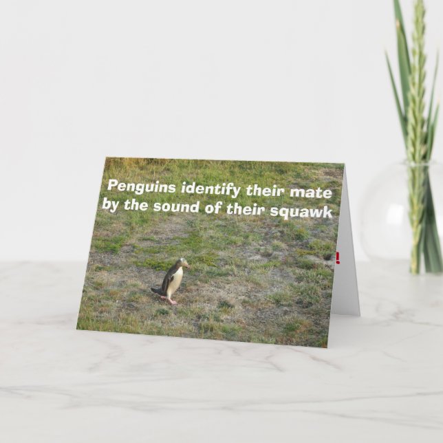 Cartes Pour Fêtes Annuelles Penguin Valentine (Devant)