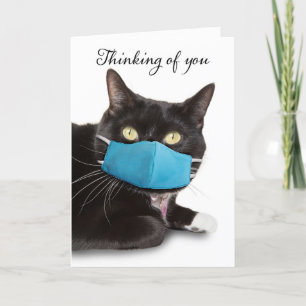 Cartes Pour Fêtes Annuelles Penser à ton chat en masque à visage bleu