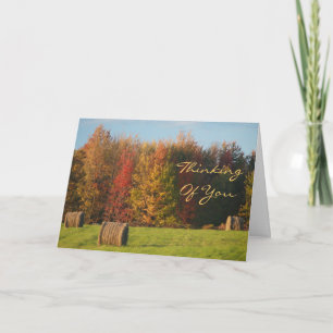 Cartes Pour Fêtes Annuelles Penser À Vous