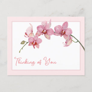 Cartes Pour Fêtes Annuelles Penser à vous Aquarelle Moth Rose Orchidées