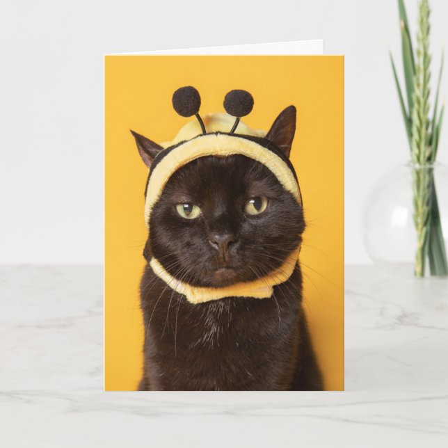 Cartes Pour Fêtes Annuelles Penser à vous drôle Chat dans Bumblebee Casquette  (Devant)