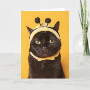 Cartes Pour Fêtes Annuelles Penser à vous drôle Chat dans Bumblebee Casquette 