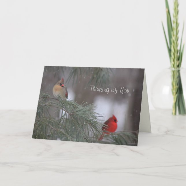 Cartes Pour Fêtes Annuelles Penser à vous - Encouragement, Sympathie, Prières (Devant)