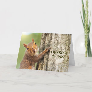 Cartes Pour Fêtes Annuelles Penser à vous mignon écureuil Escalade arbre photo