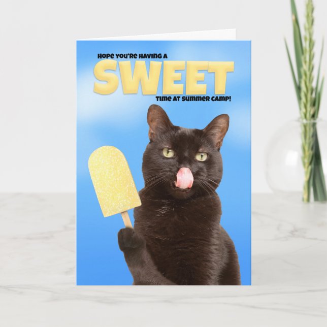 Cartes Pour Fêtes Annuelles Pensez à vous Camp d'été Souhaite Chat drôle (Devant)