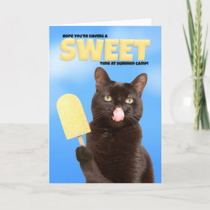 Cartes Pour Fêtes Annuelles Pensez à vous Camp d'été Souhaite Chat drôle