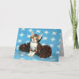 Cartes Pour Fêtes Annuelles Pépecones hivernales Tippy - Chat / Kitten Christm