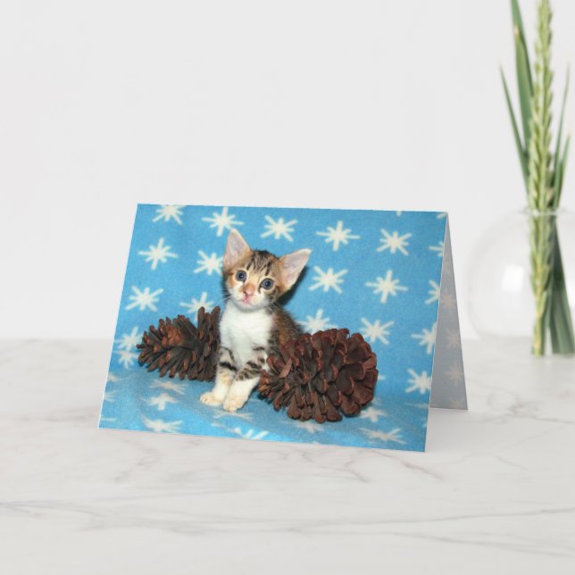 Cartes Pour Fêtes Annuelles Pépecones hivernales Tippy - Chat / Kitten Christm (Devant)