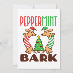 Cartes Pour Fêtes Annuelles Peppermenthe Bark mignonne Noël Dachshund Doxie
