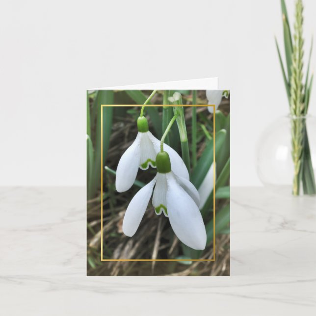 Cartes Pour Fêtes Annuelles Perce-neiges avec la frontière d'or (Devant)