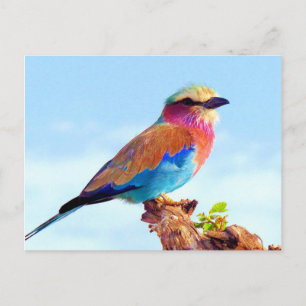 Cartes Pour Fêtes Annuelles Perched Colorful African Bird