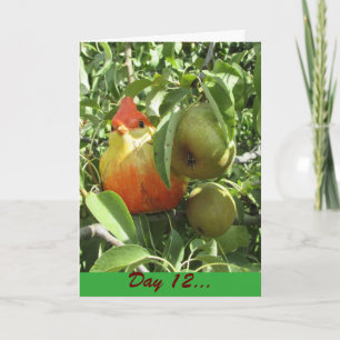 Cartes Pour Fêtes Annuelles Perdrix ? Dans un poirier. Oiseau sous la