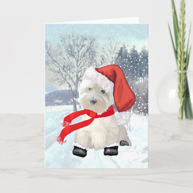 Cartes Pour Fêtes Annuelles Père Noël (Devant)