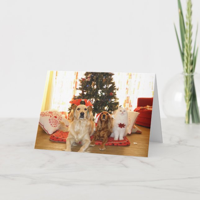 Cartes Pour Fêtes Annuelles Père Noël & Animaux de compagnie (Devant)