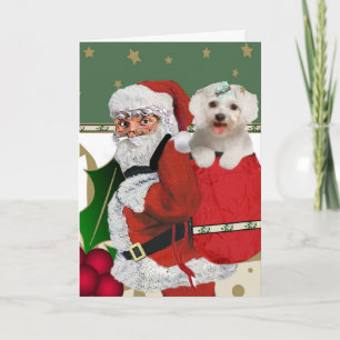Cartes Pour Fêtes Annuelles père Noël avec le maltais dans son sac