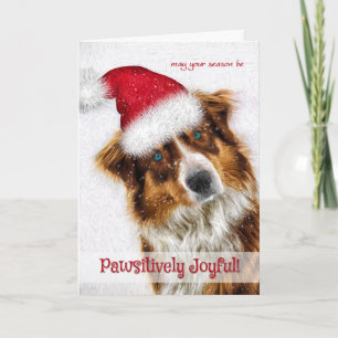 Cartes Pour Fêtes Annuelles Père Noël, berger australien jouissif de manière p