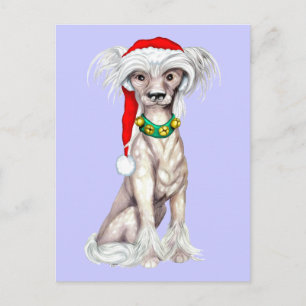 Cartes Pour Fêtes Annuelles Père Noël chinois arrêté