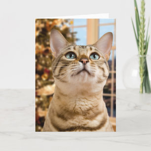 Cartes Pour Fêtes Annuelles Père Noël de attente