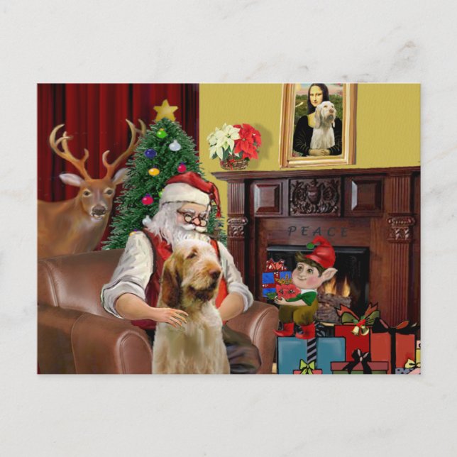 Cartes Pour Fêtes Annuelles Père Noël du Spinone italien (Devant)