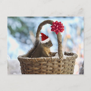 Cartes Pour Fêtes Annuelles Père Noël écureuil en neige