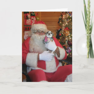 Cartes Pour Fêtes Annuelles Père Noël et chiwawa