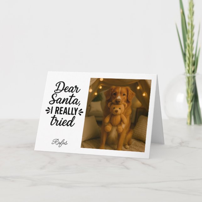 Cartes Pour Fêtes Annuelles Père Noël, j'ai vraiment essayé - Photo de Noël (Devant)