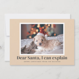 Cartes Pour Fêtes Annuelles Père Noël, Je Peux Expliquer Funny Photo Animaux