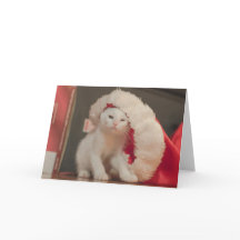 Père Noël Kitty