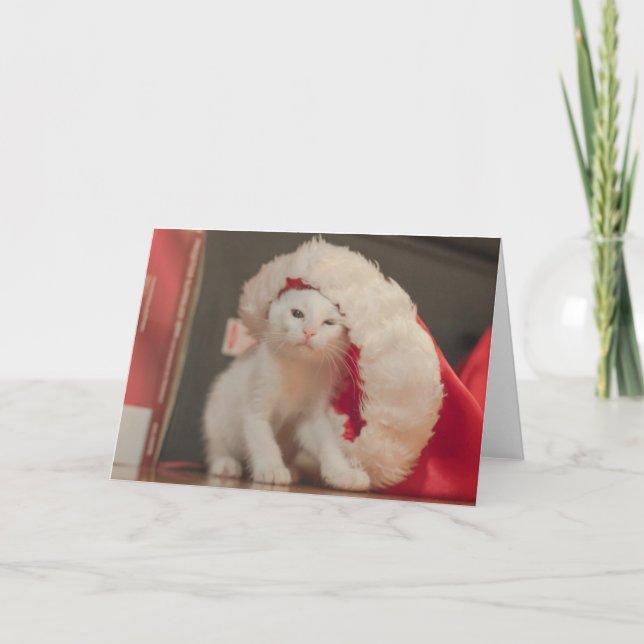 Cartes Pour Fêtes Annuelles Père Noël Kitty (Devant)