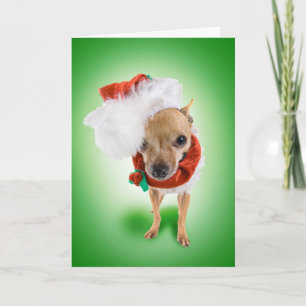 Cartes Pour Fêtes Annuelles Père Noël minuscule