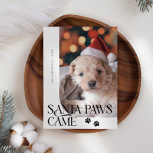 Cartes Pour Fêtes Annuelles Père Noël Paws Came Chien Photo Blanc Noël