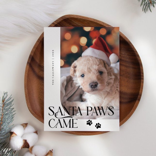 Cartes Pour Fêtes Annuelles Père Noël Paws Came Chien Photo Blanc Noël (Créateur téléchargé)