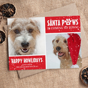 Cartes Pour Fêtes Annuelles Père Noël Paws Chien Photo Happy Howlidays Noël