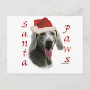 Cartes Pour Fêtes Annuelles Père Noël Paws de Weimaraner