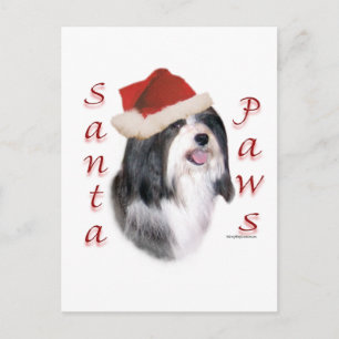 Cartes Pour Fêtes Annuelles Père Noël Paws Havanais