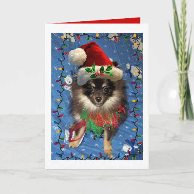 CARTES POUR FÊTES ANNUELLES PÈRE NOËL POMERANIENNE (Devant)