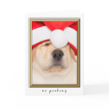Père Noël Puppy No Peeking