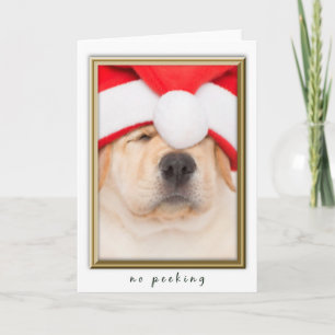 Cartes Pour Fêtes Annuelles Père Noël Puppy No Peeking